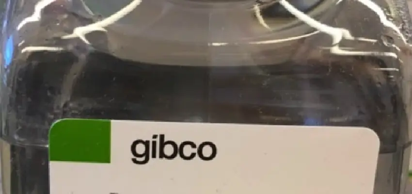 کاربرد محصولات شرکت گیبکو